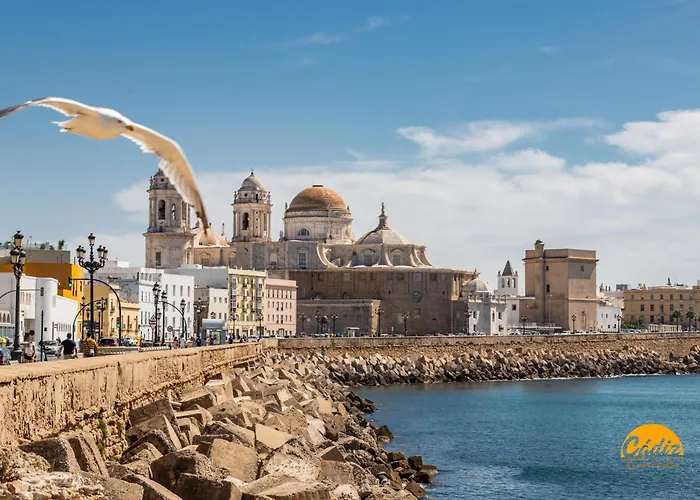 Apartman Delfin Azul By Time